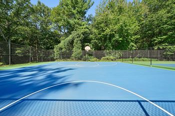 Blue basketball court
